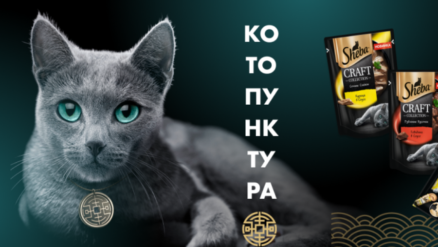 BBDO Moscow запустило кампанию «Котопунктура» для бренда Sheba 