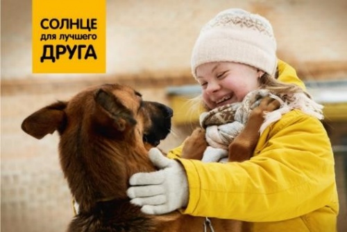 Pedigree, фонд «Даунсайд Ап» и BBDO Moscow показали «Солнце для лучшего друга»