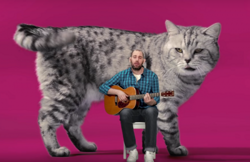 Котозависимость: новый проект BBDO Moscow для бренда Whiskas®